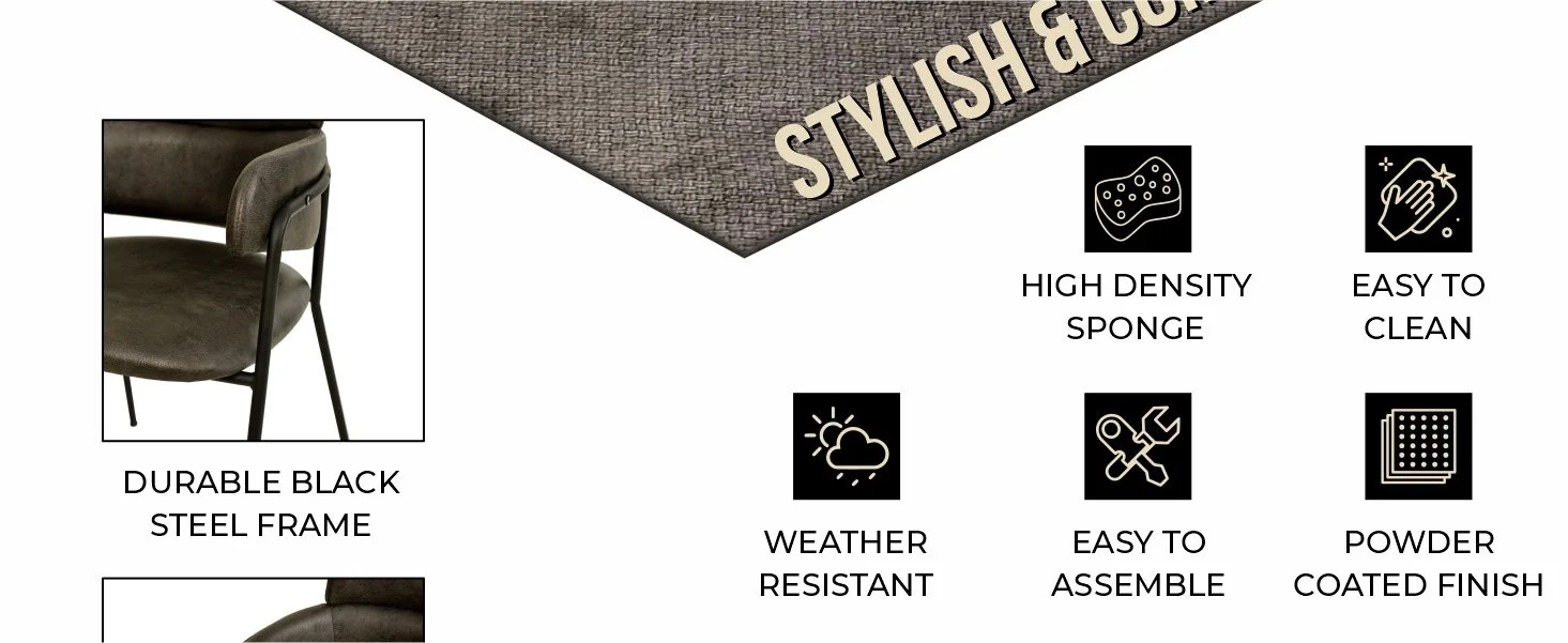 Axis Collection Modern Dining Chair in Charcoal