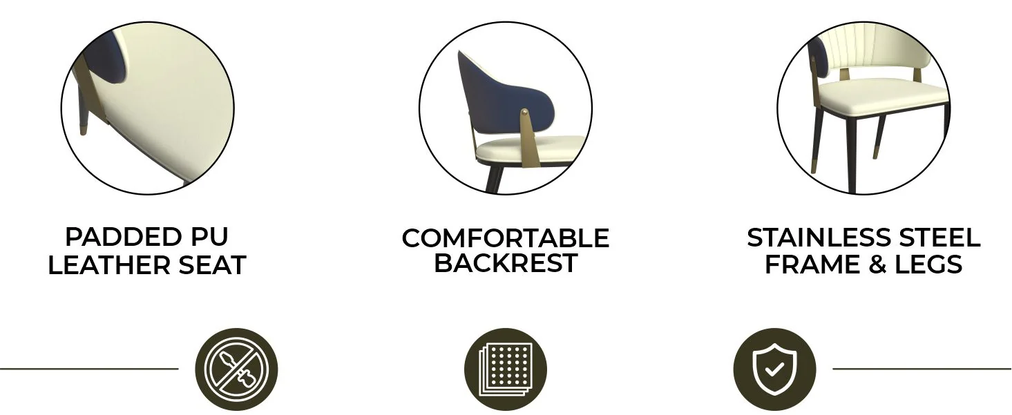 Aria Series Modern Dining Chair in Black Set of 2