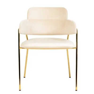 Axis Collection Modern Gold Dining Chair in Beige
