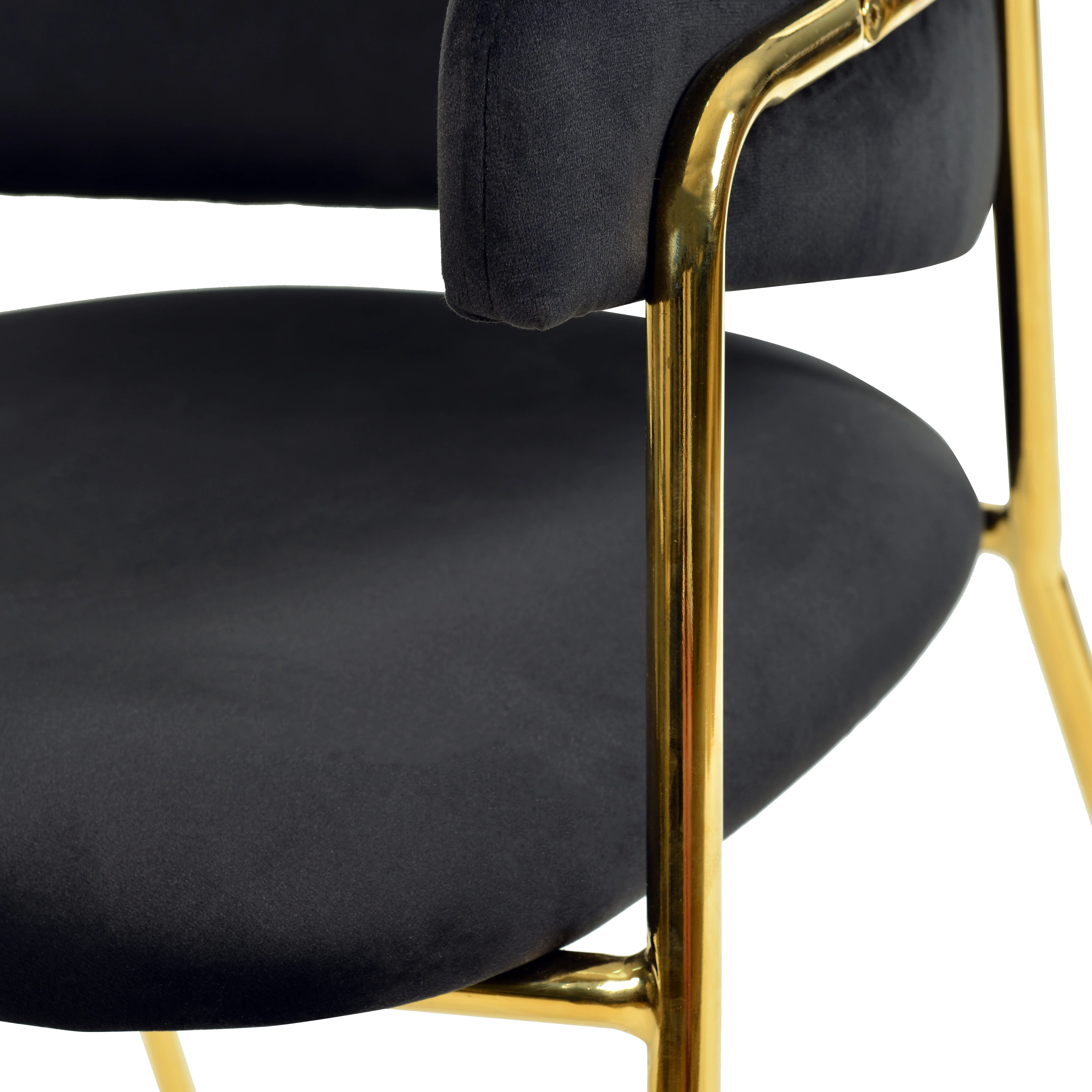 Axis Collection Modern Gold Dining Chair in Black