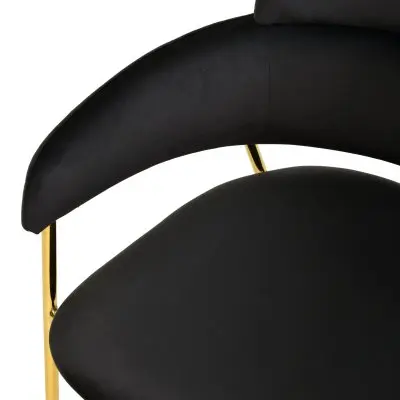 Axis Collection Modern Gold Dining Chair in Black