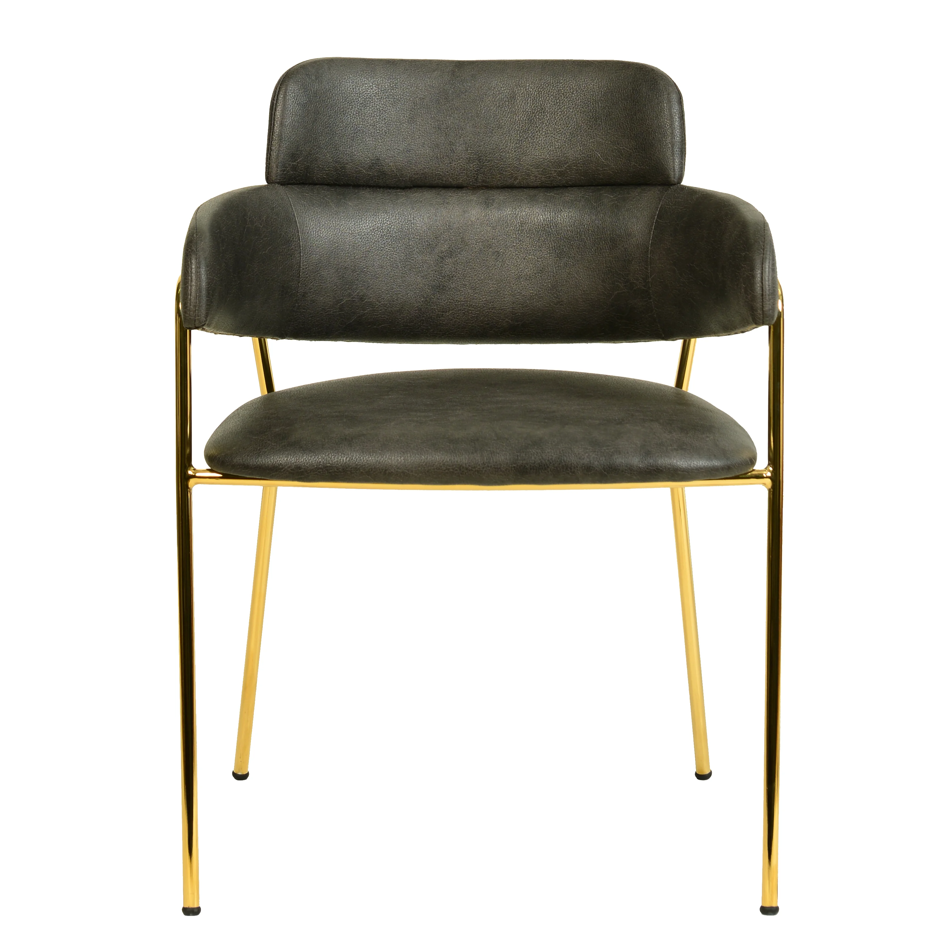 Axis Collection Modern Gold Dining Chair in Charcoal
