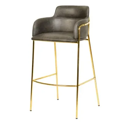 Axis Collection Modern Gold Bar height Chair in Charcoal