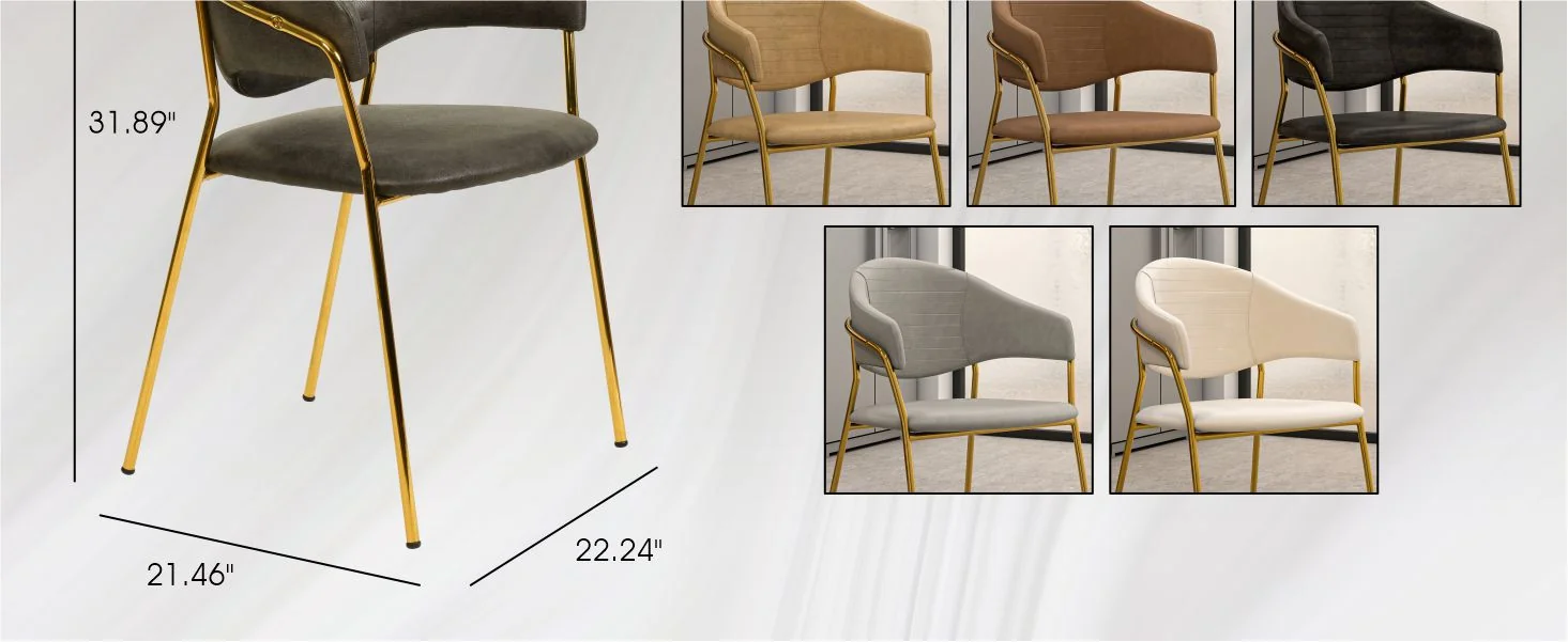 Bella Collection Modern Dining Chair in Charcoal