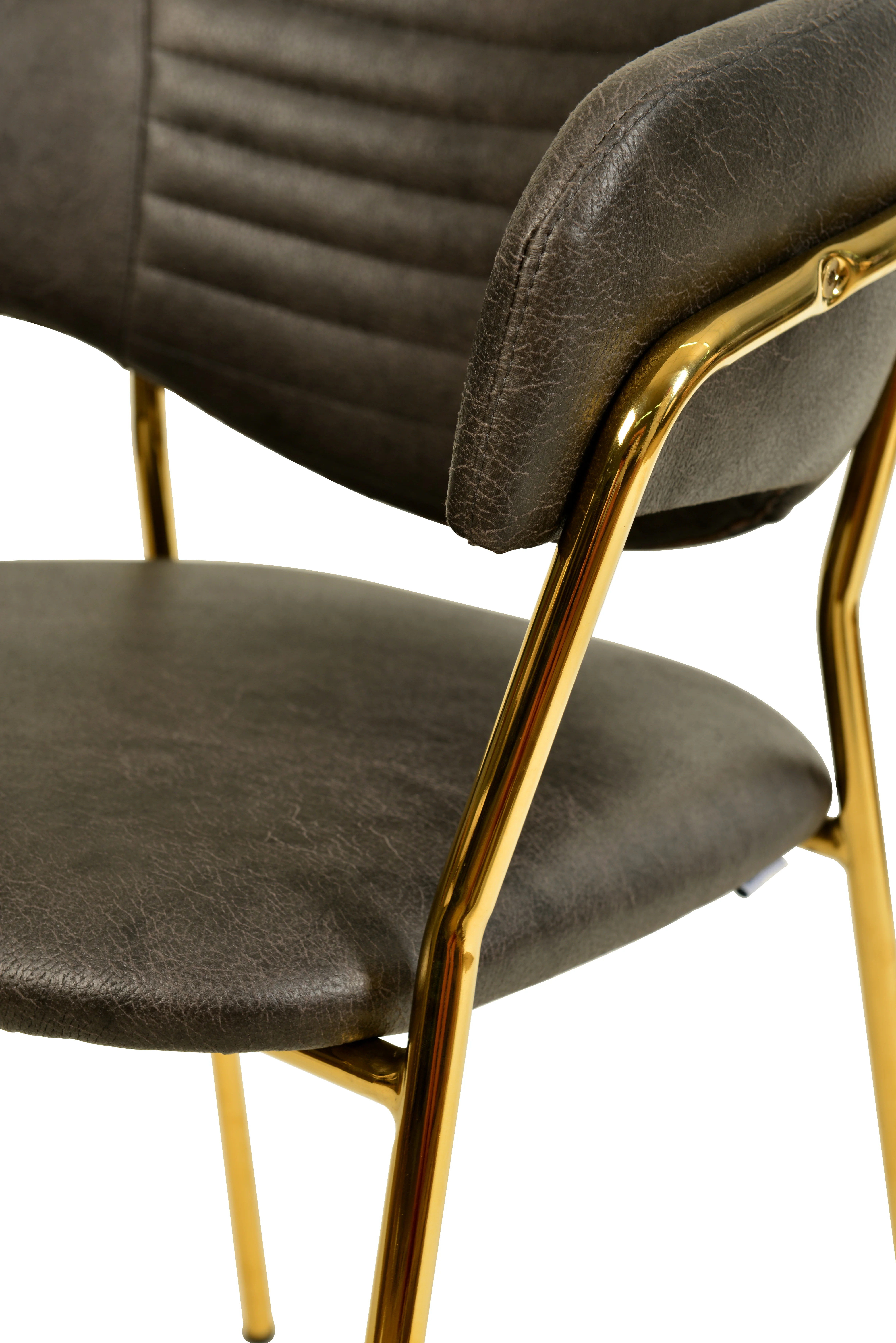 Bella Collection Modern Dining Chair in Charcoal