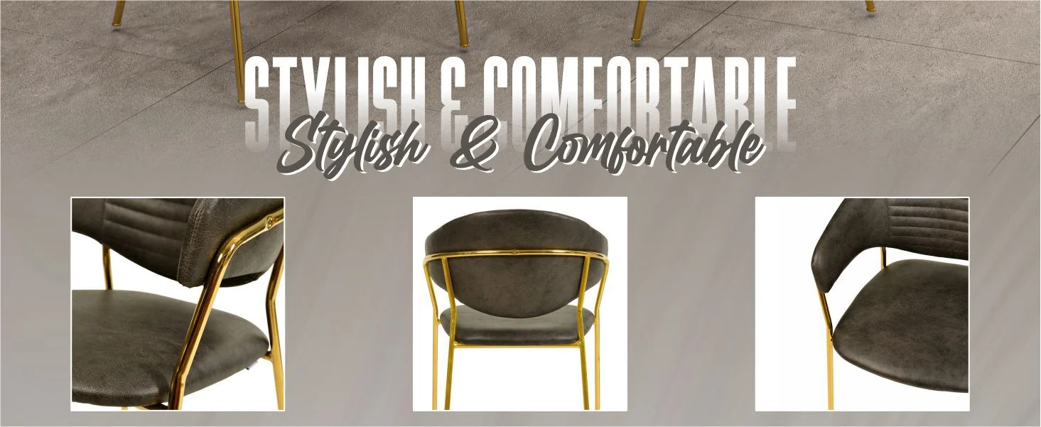 Bella Collection Modern Dining Chair in Charcoal Set of 2