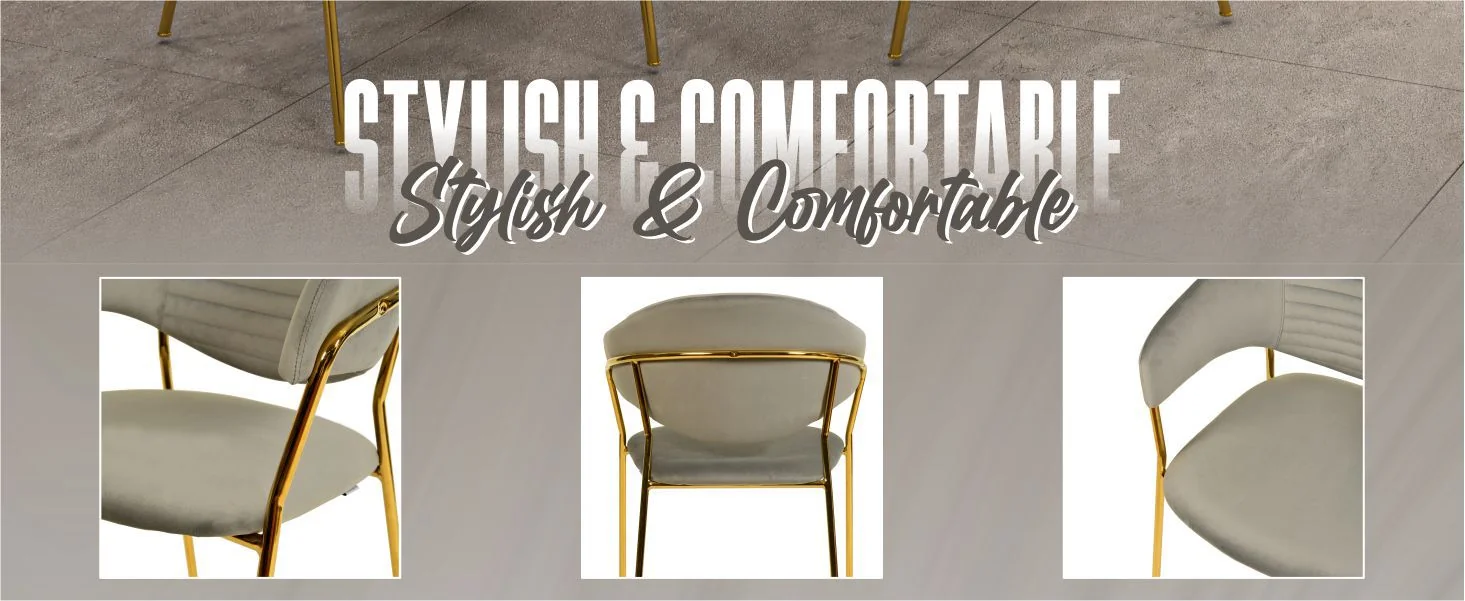 Bella Collection Modern Dining Chair in Light Grey Set of 4