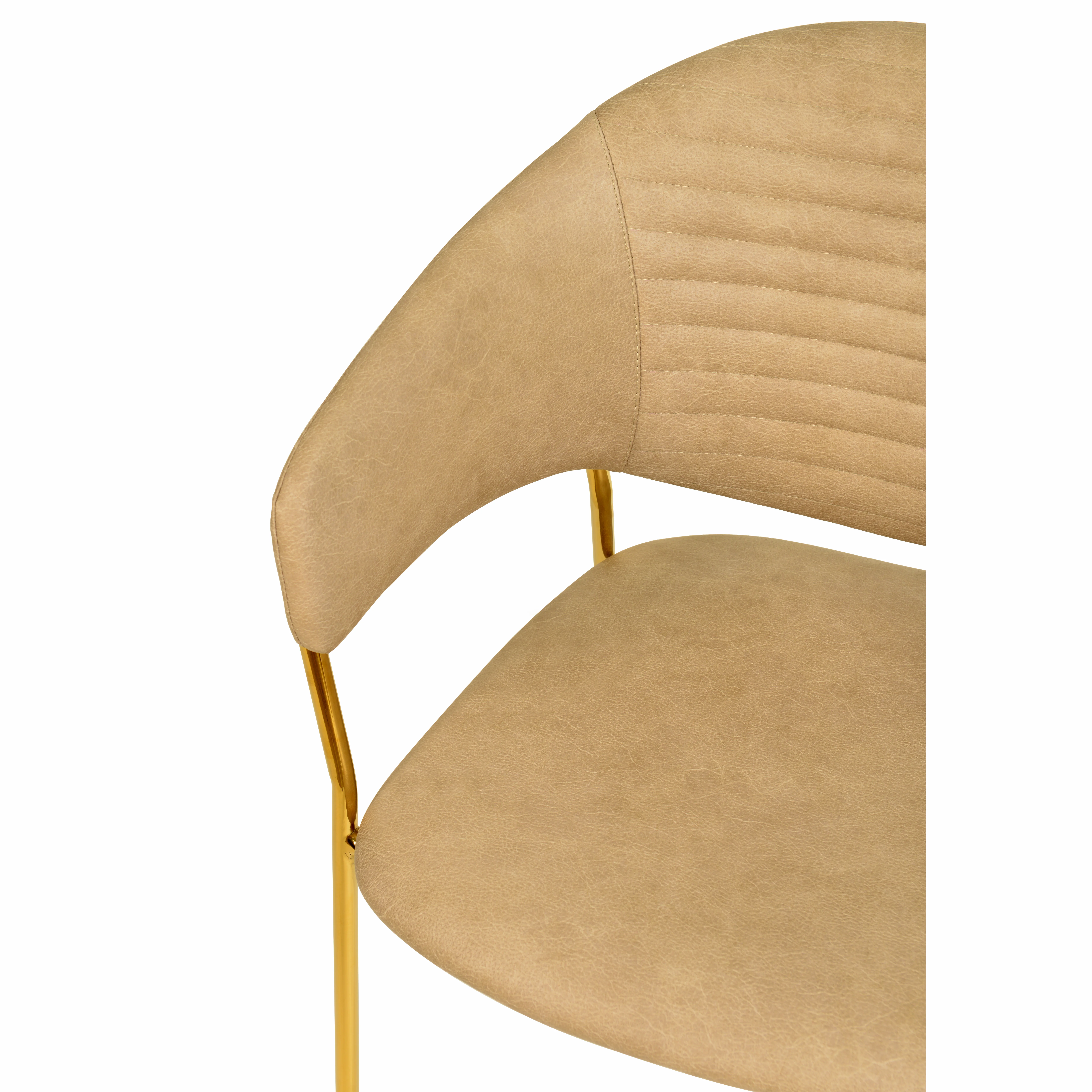 Bella Collection Modern Dining Chair in Toupe