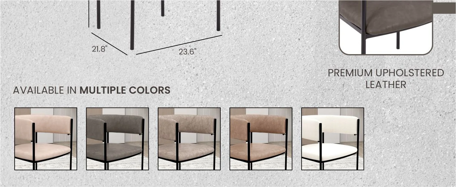 Cyril Collection Modern Chair in Charcoal Set of 2