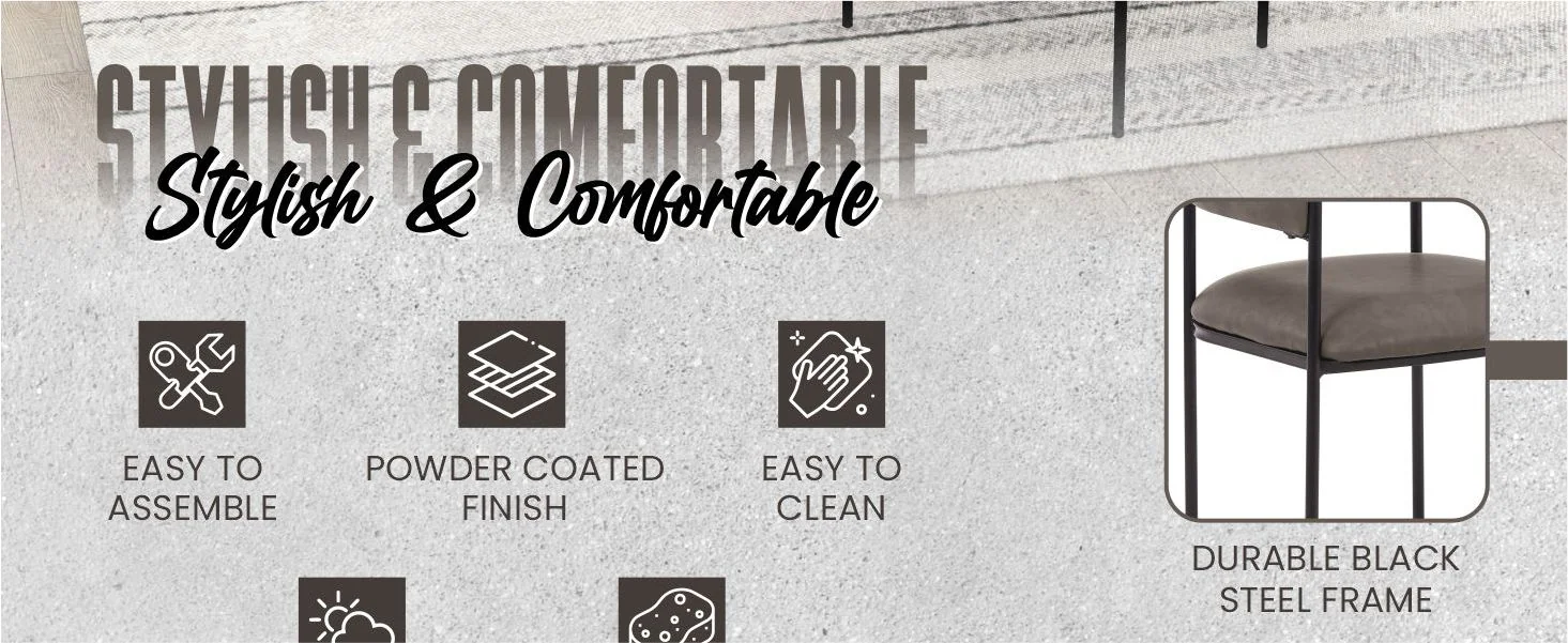 Cyril Collection Modern Chair in Charcoal Set of 2