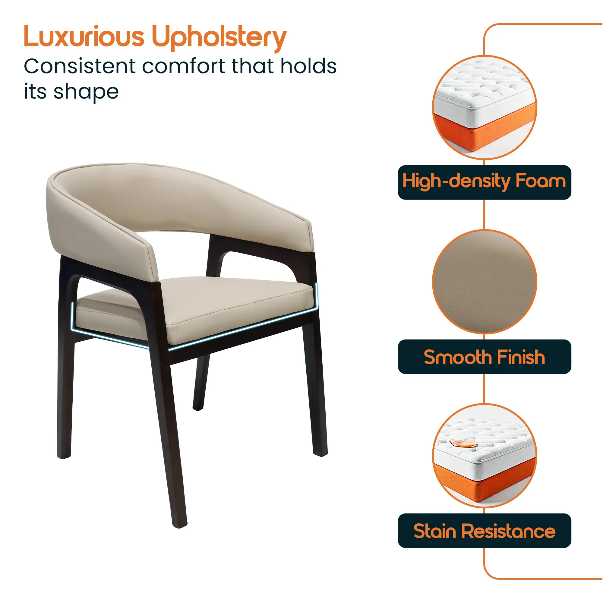 Cali Collection Modern Dining Chair in Beige - Set of 2