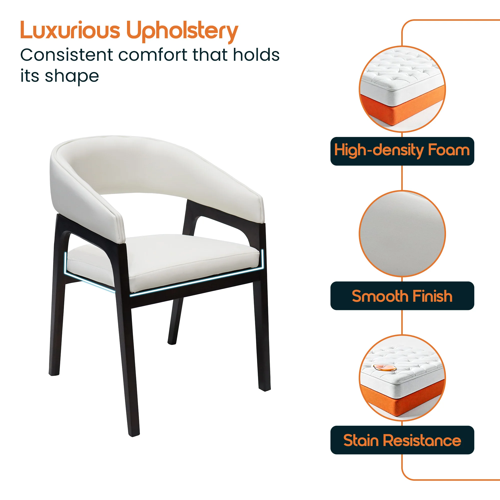 Cali Collection Modern Dining Chair in White - Set of 2