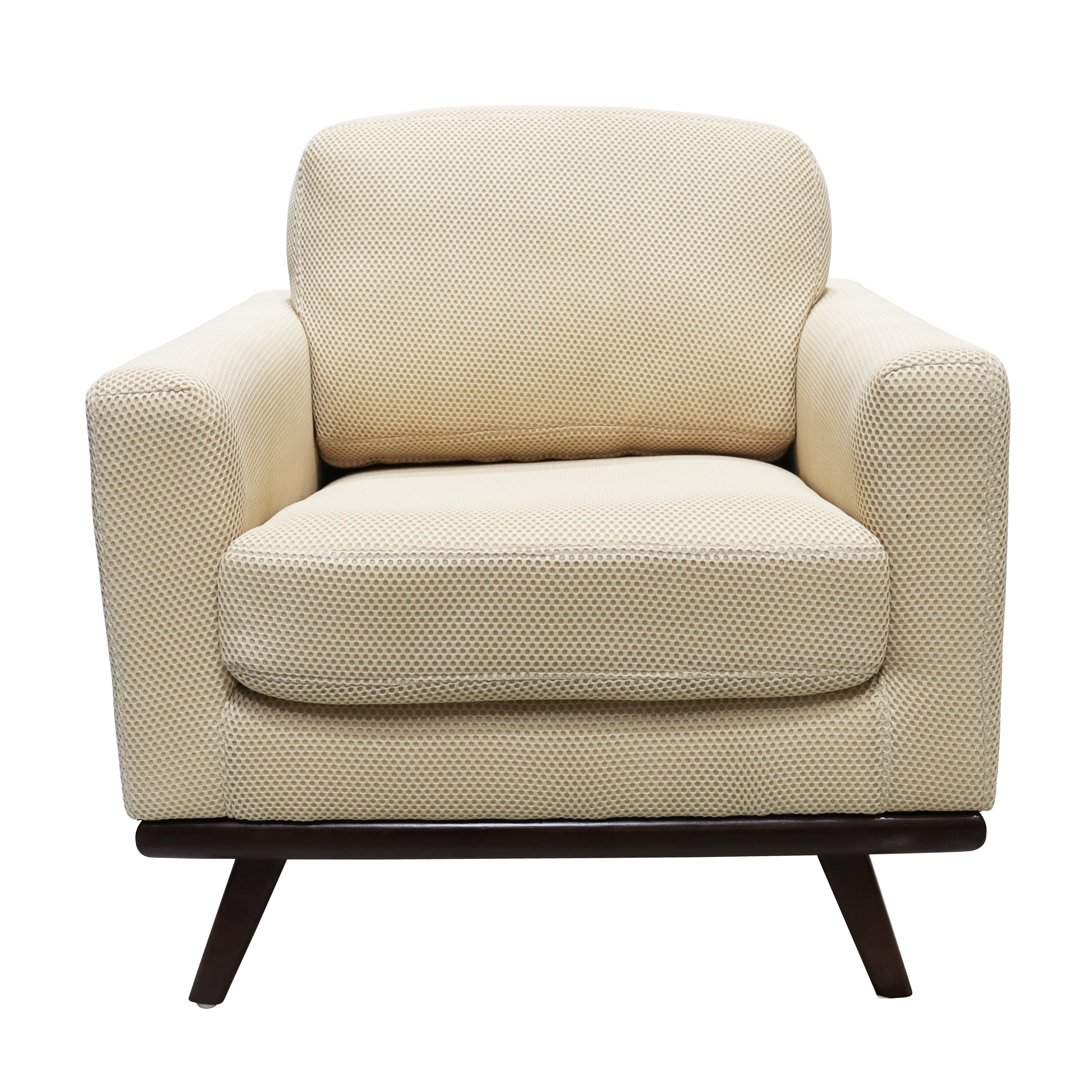 Chester Modern Faux Leather Accent Arm Chair in Beige Mesh