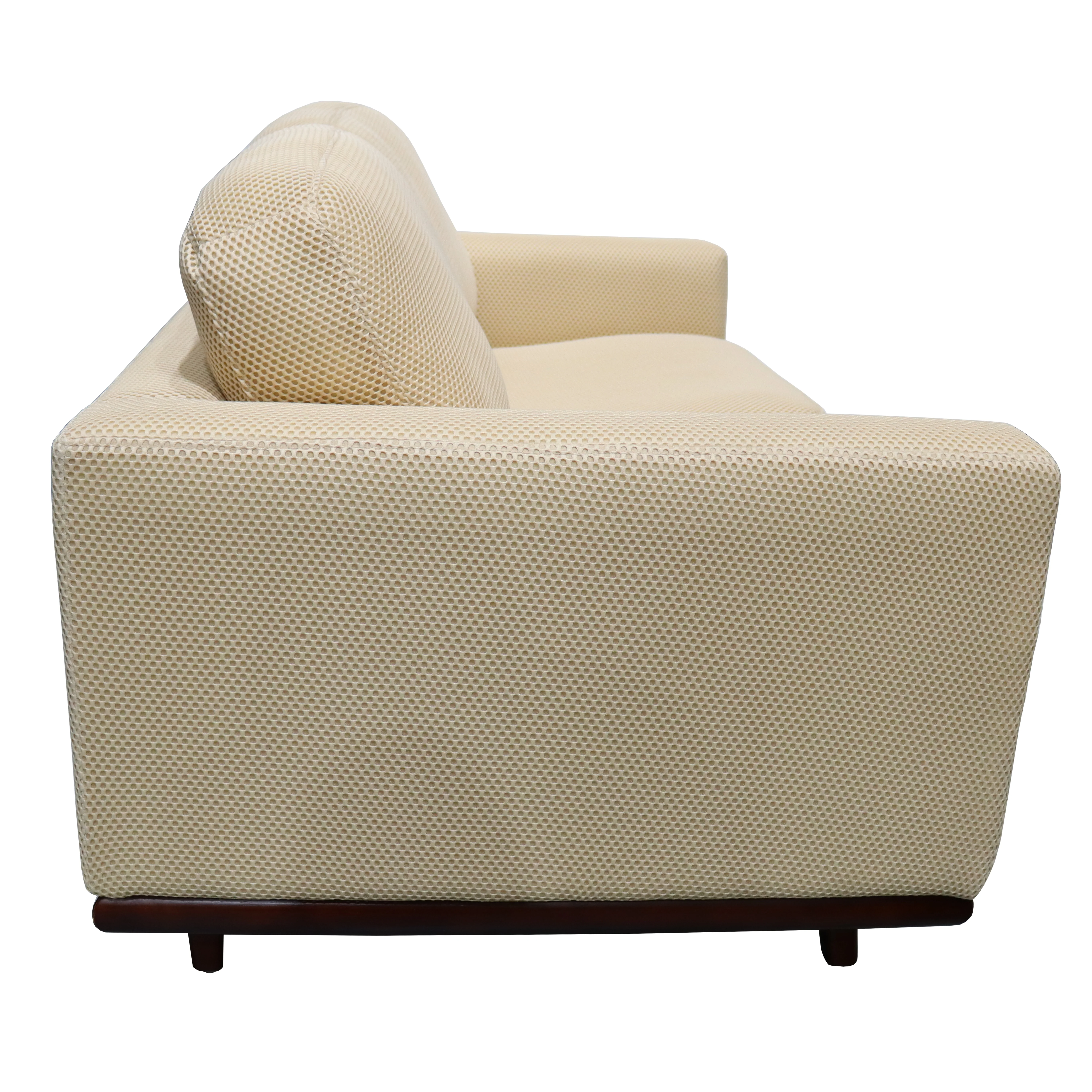 Chester Modern Faux Leather Loveseat in Beige Mesh