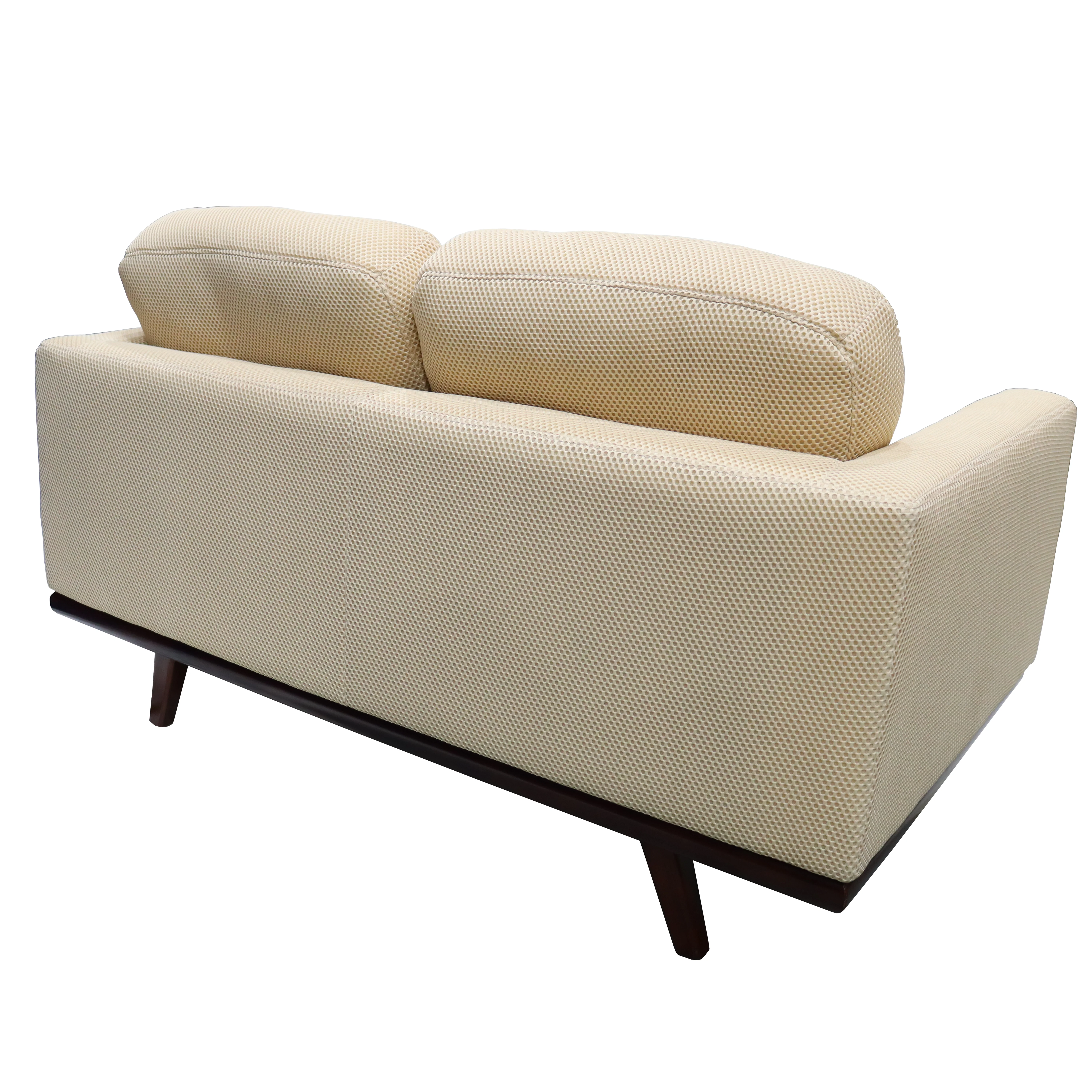 Chester Modern Faux Leather Loveseat in Beige Mesh