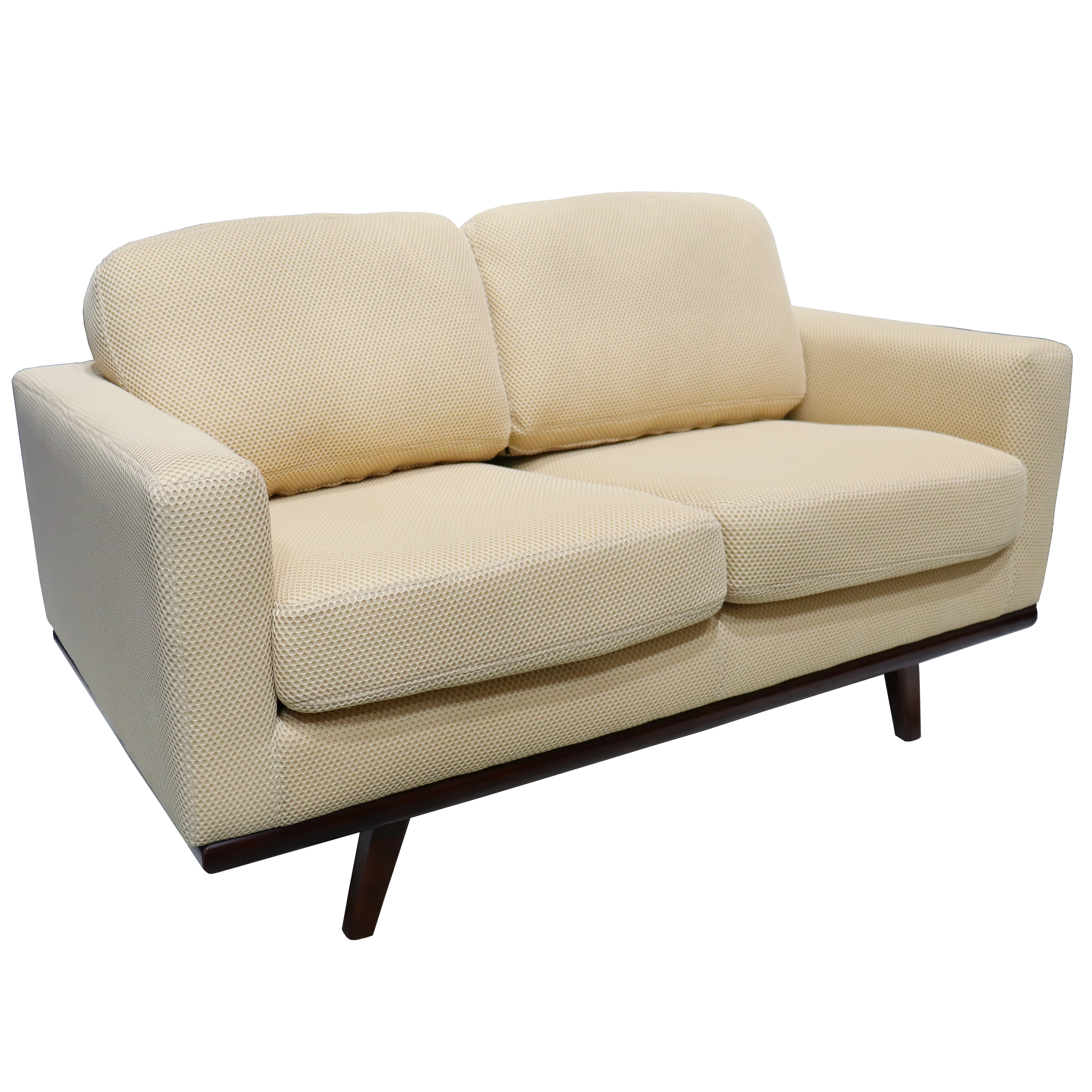 Chester Modern Faux Leather Loveseat in Beige Mesh