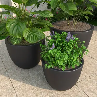 Dahlia Series Poly Stone Planter Set in Black