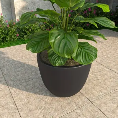 Dahlia Series Poly Stone Planter in Black 17.5 Dia, 13.6 High