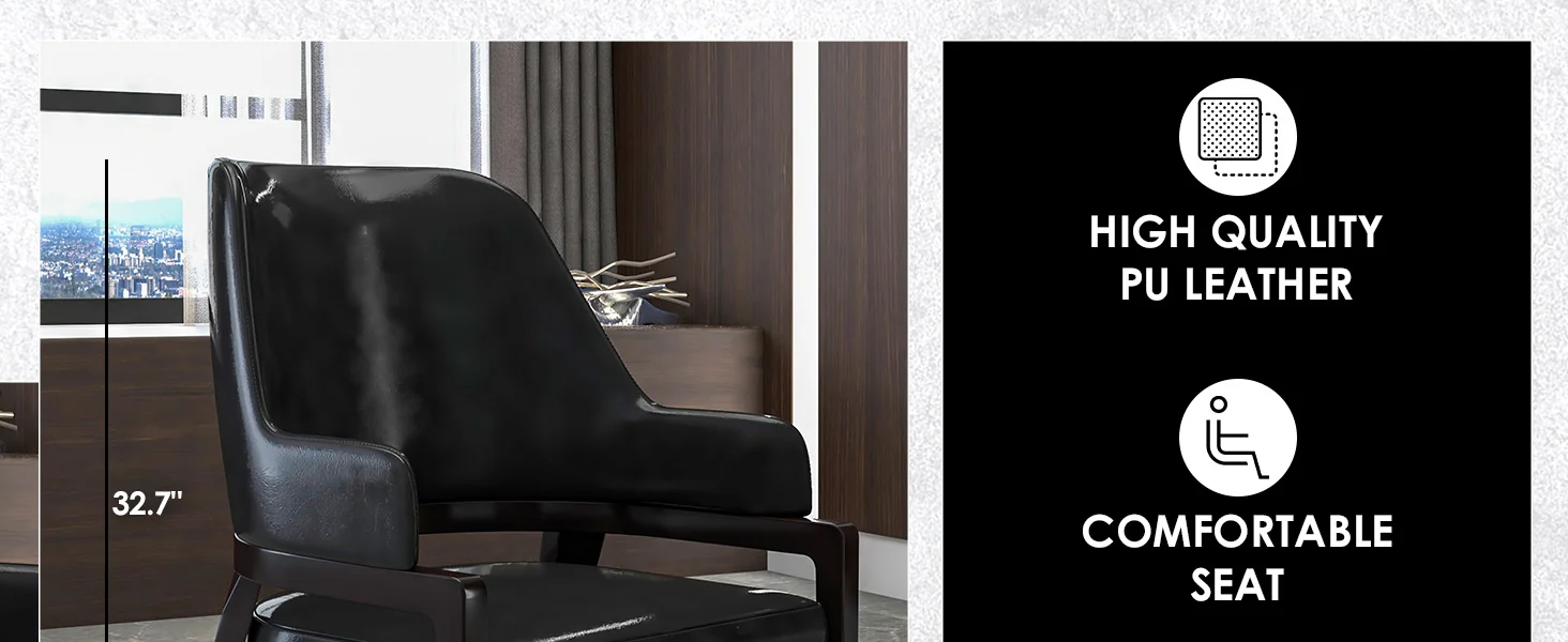 Ethora Collection Modern Wooden Dining Chair in Black