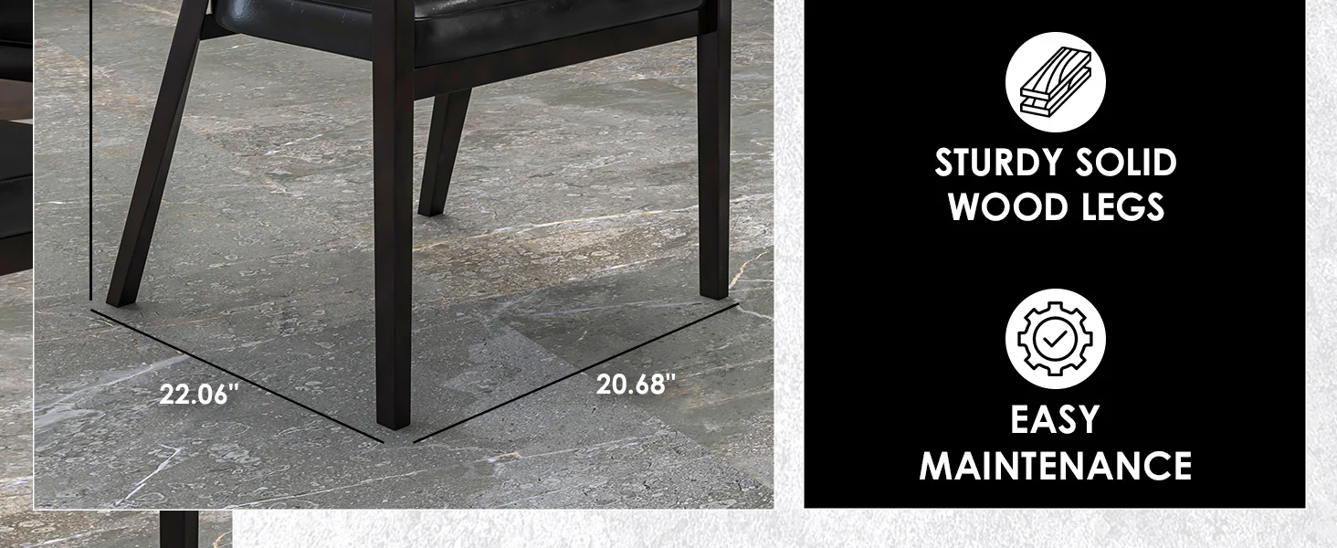 Ethora Collection Modern Wooden Dining Chair in Black