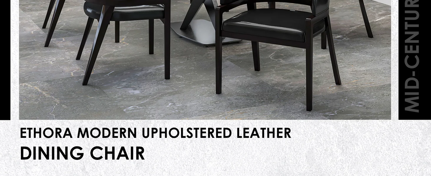 Ethora Collection Modern Wooden Dining Chair in Black