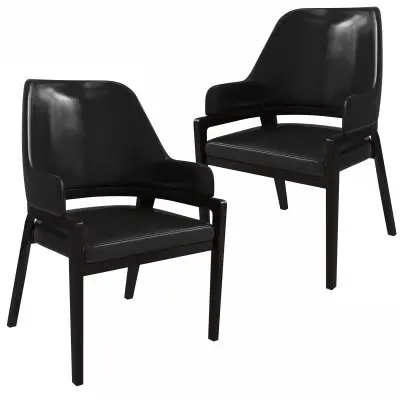 Ethora Collection Modern Wooden Dining Chair in Black Set of 2