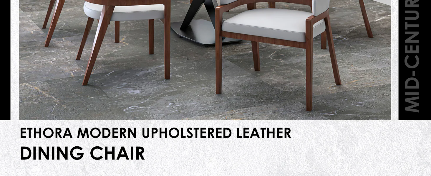 Ethora Collection Modern Wooden Dining Chair in White