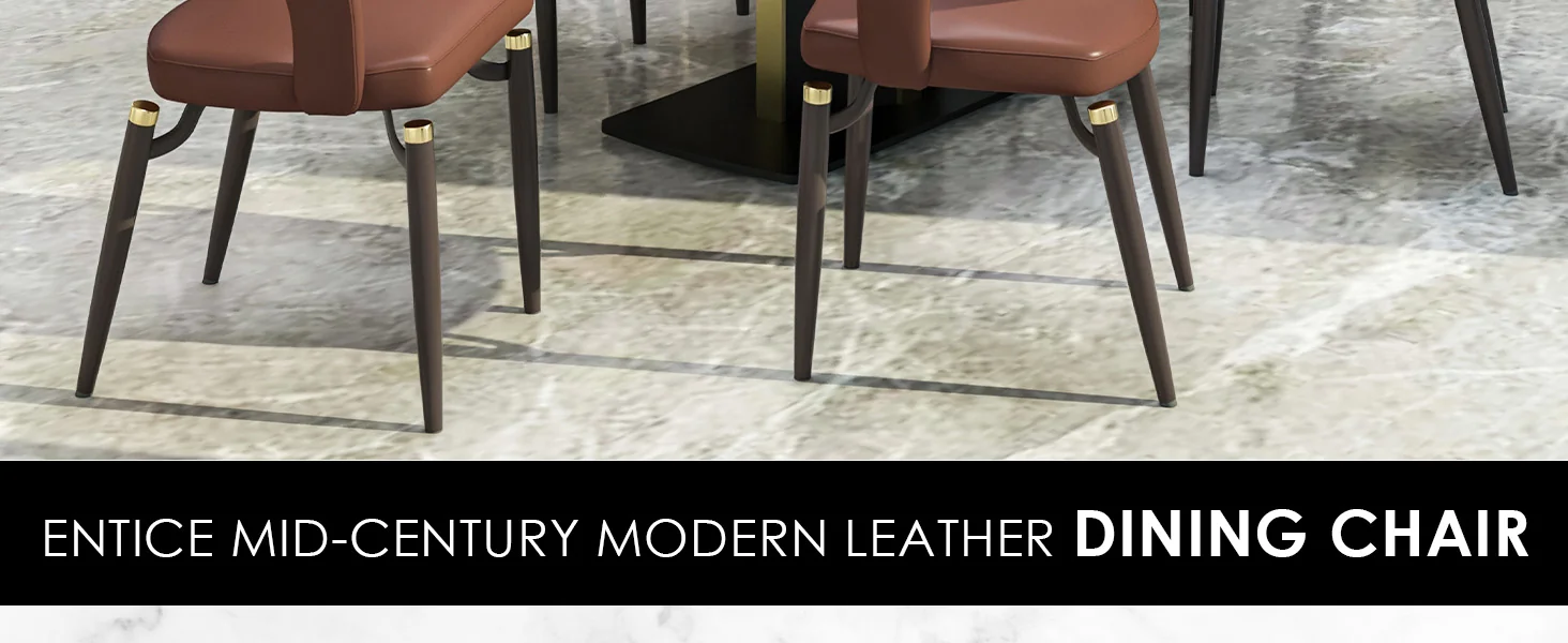 Entice Collection Modern Dining Chair in Brown