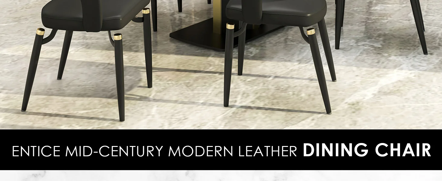 Entice Collection Modern Dining Chair Set of 4 in Charcoal Black