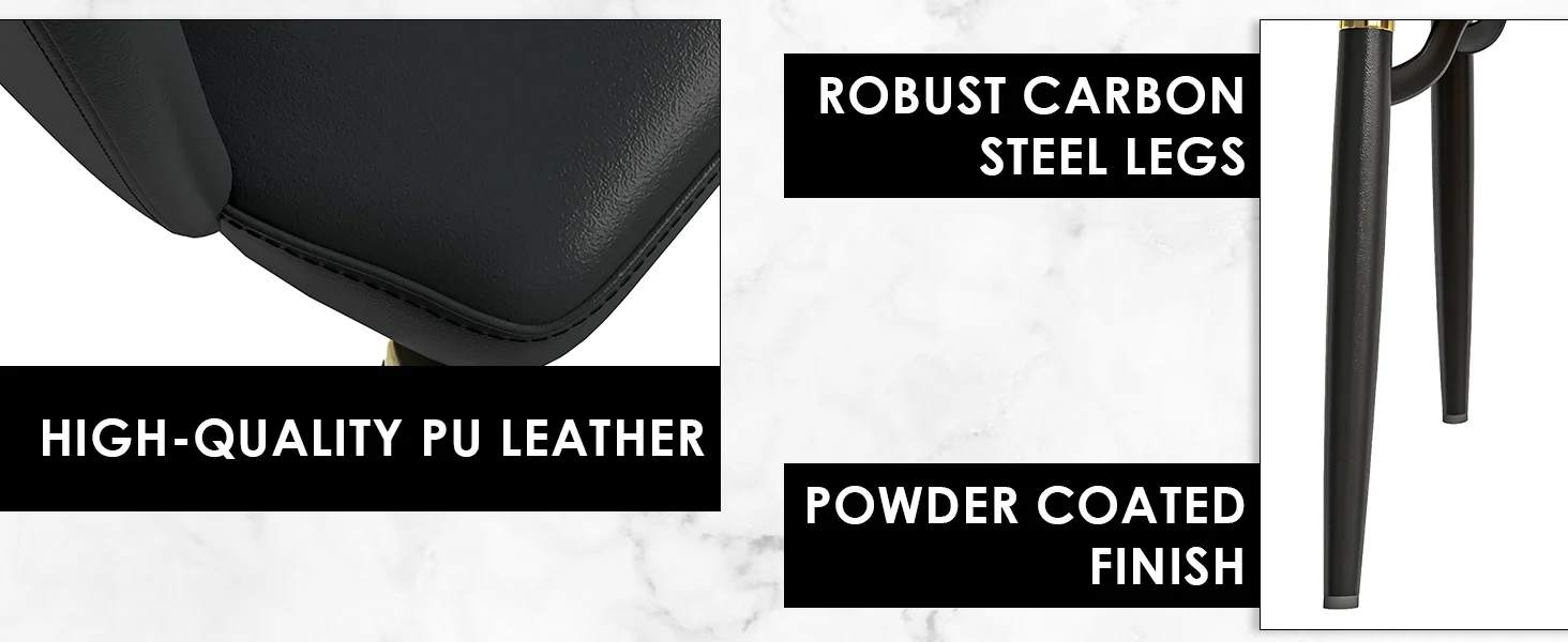 Entice Collection Modern Dining Chair in Charcoal Black