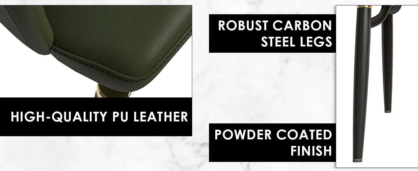 Entice Collection Modern Dining Chair Set of 2 in Green