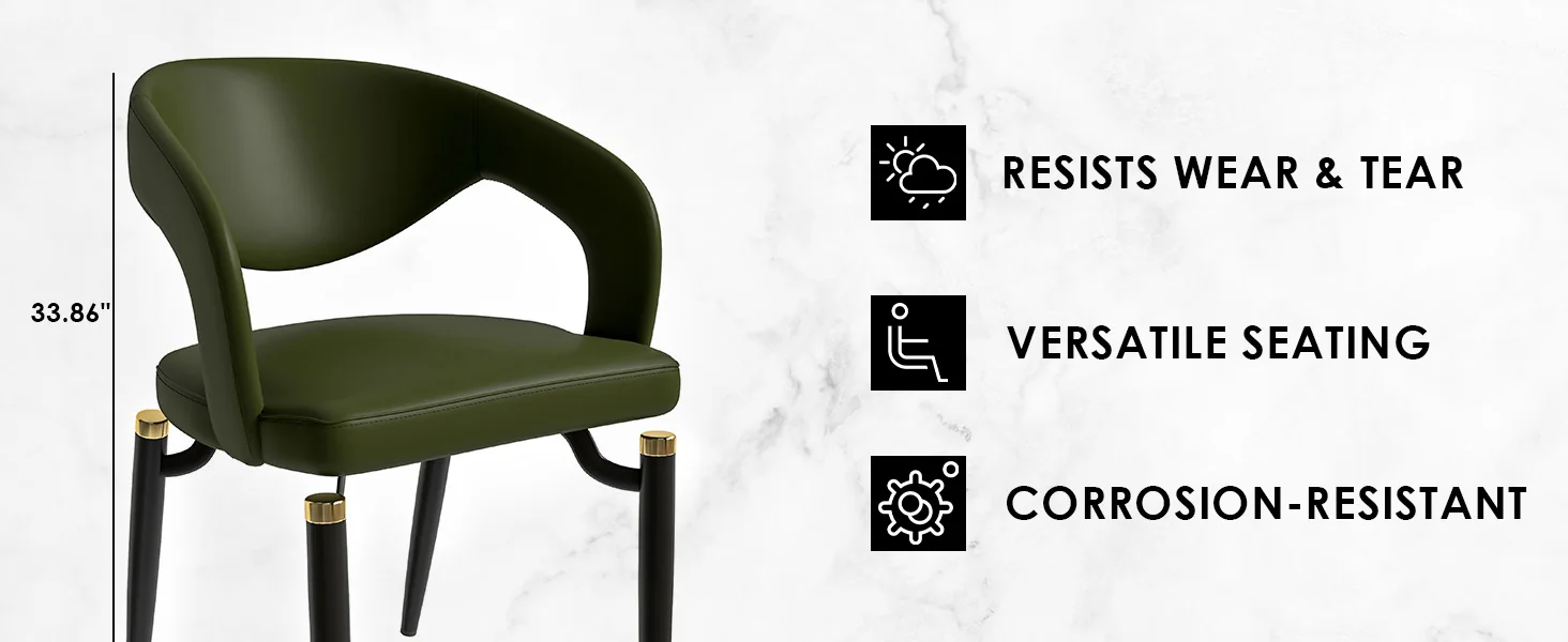 Entice Collection Modern Dining Chair Set of 2 in Green