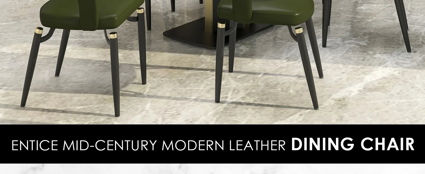 Entice Collection Modern Dining Chair Set of 2 in Green