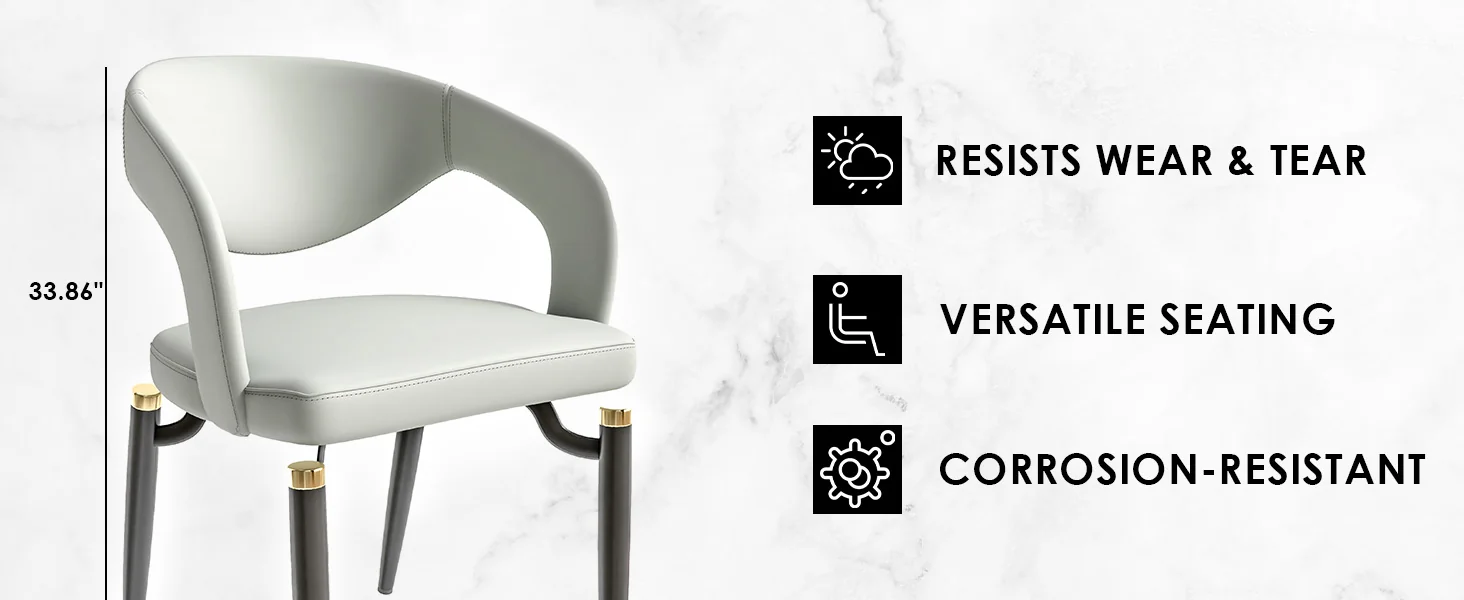 Entice Collection Modern Dining Chair Set of 2 in Grey