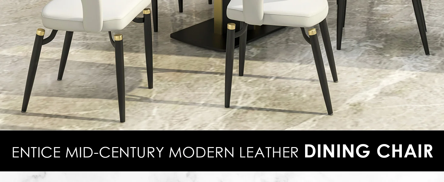 Entice Collection Modern Dining Chair Set of 2 in Grey