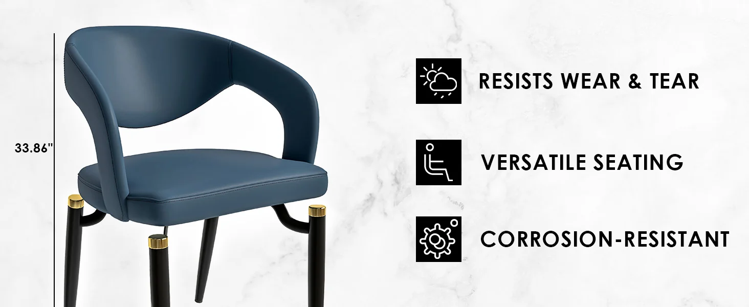 Entice Collection Modern Dining Chair Set of 2 in Blue