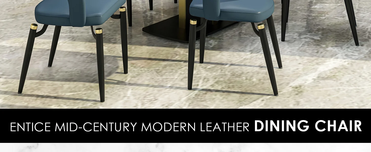 Entice Collection Modern Dining Chair in Blue