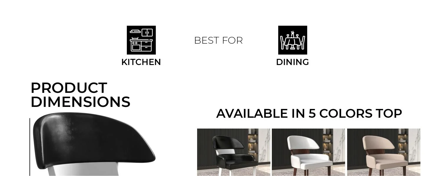 Ethos Collection Modern Wooden Dining Chair in Black