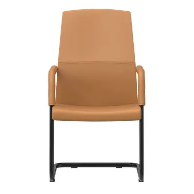 Evander Office Guest Chair in Acorn Brown Leather