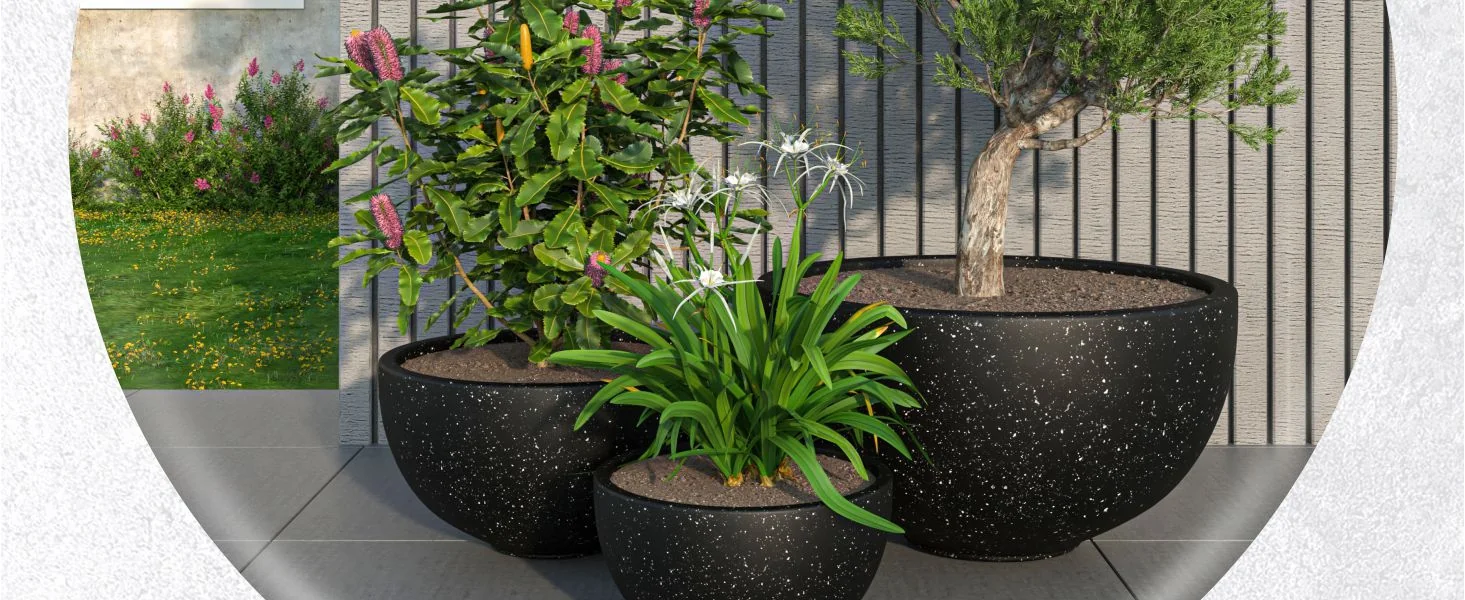 Iris Planter Set Black