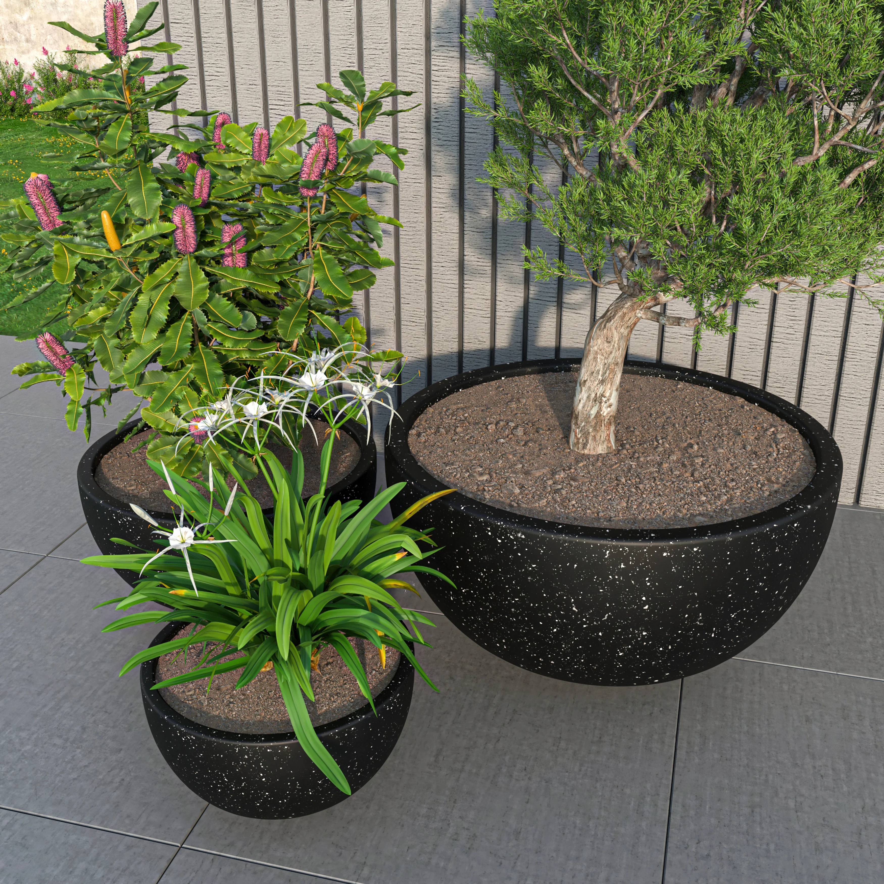 Iris Planter Set Black