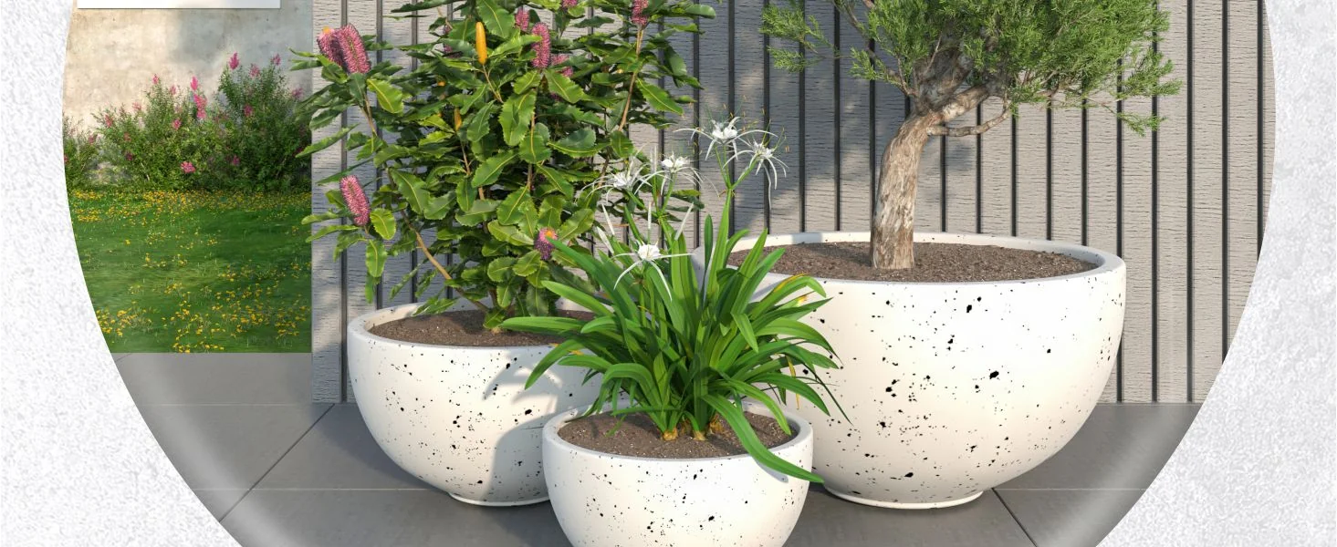Iris Planter Set White