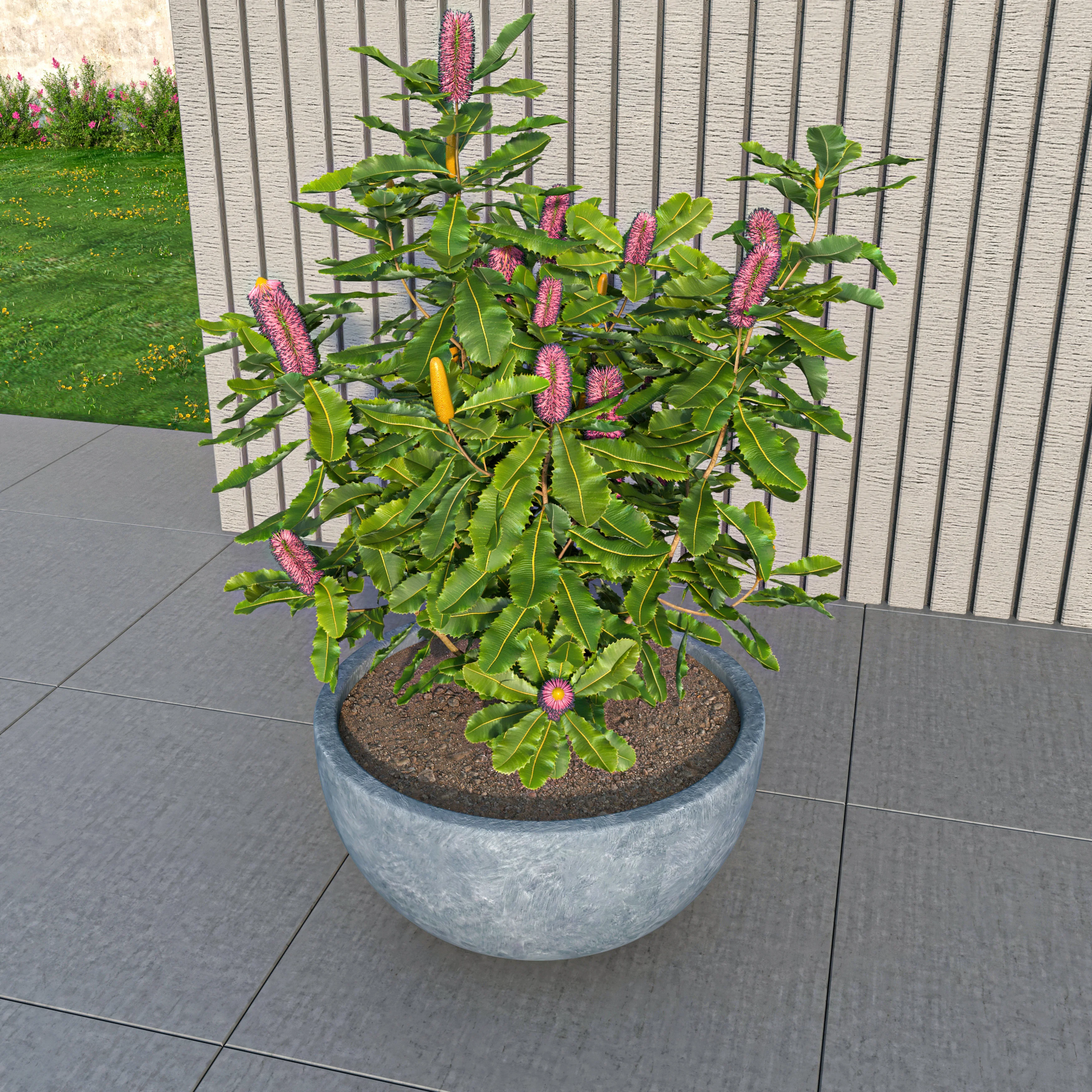 Iris Fiberstone Planter in Grey 9 Dia