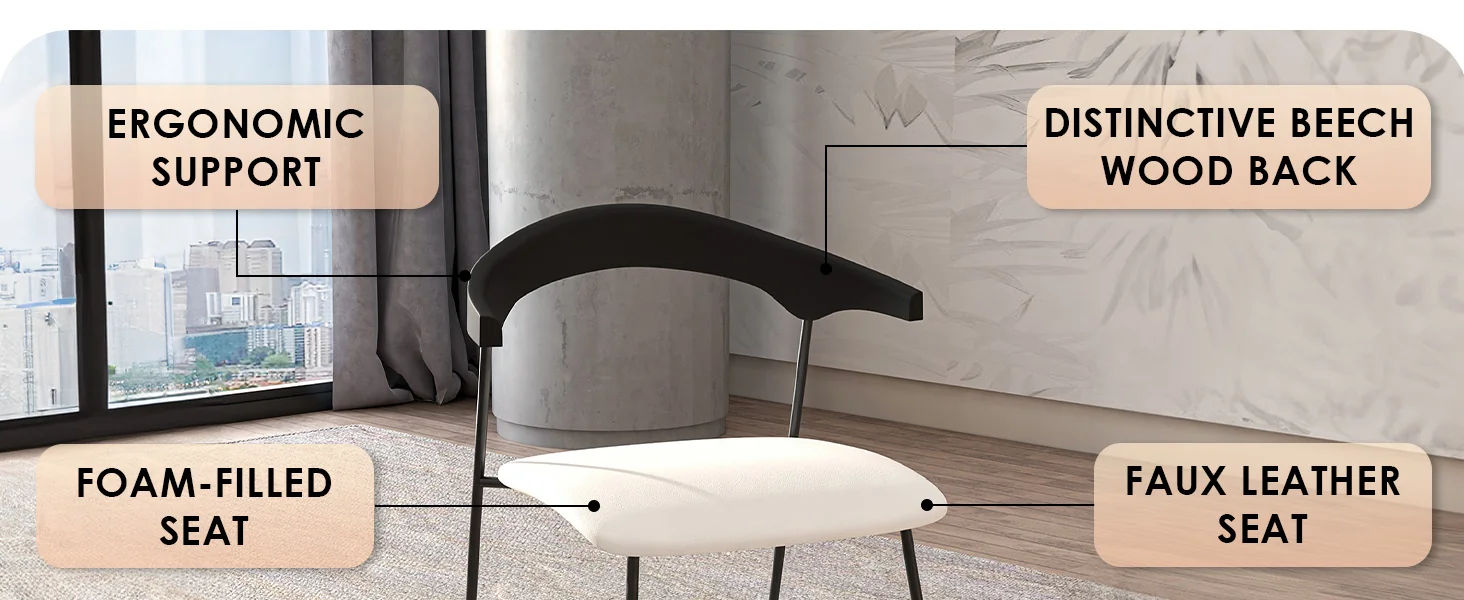 Lyra Collection Modern Chair in Black back and White Seat