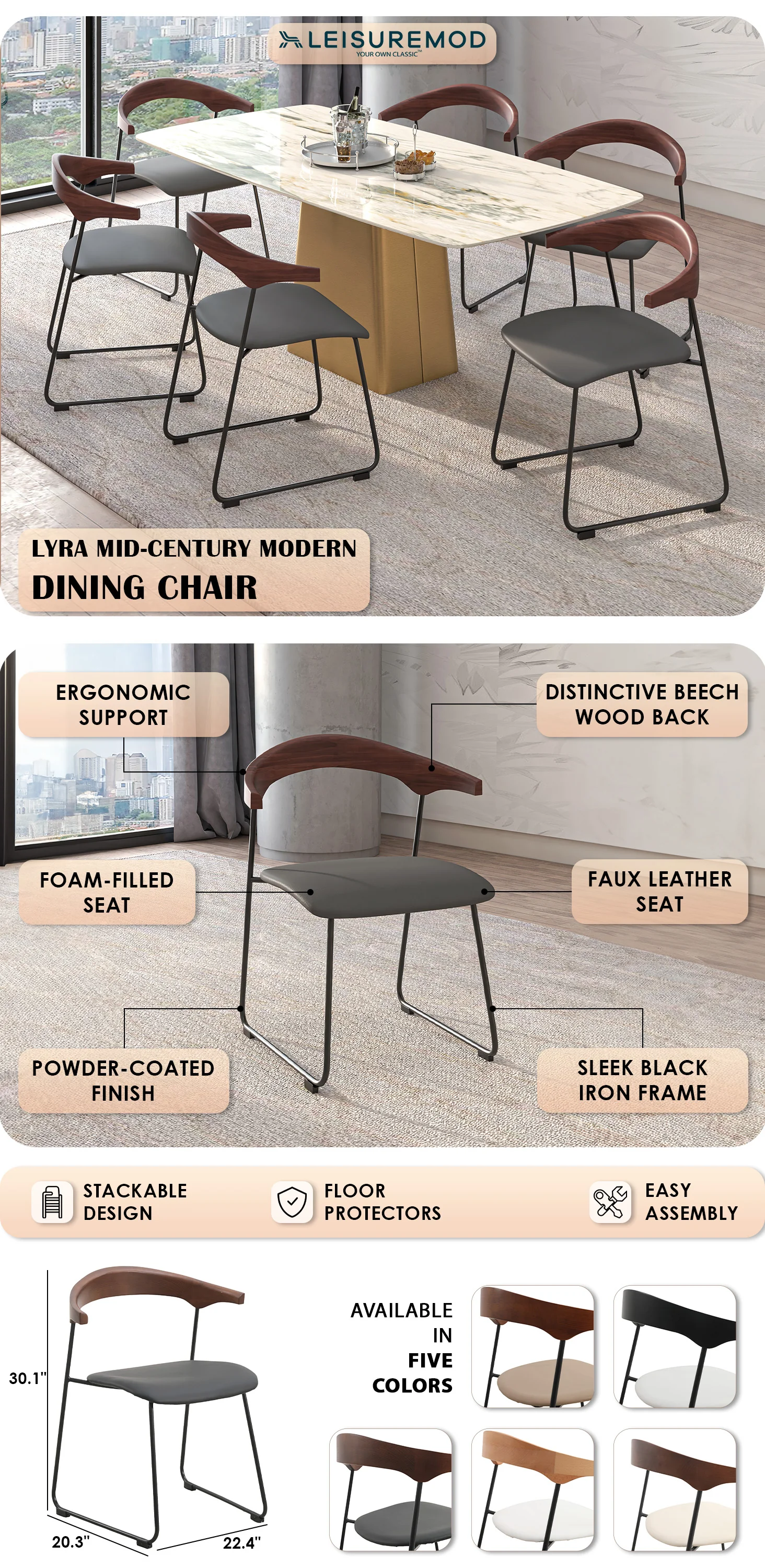 Lyra Collection Modern Chair in Black Walnut Color back and Black Seat