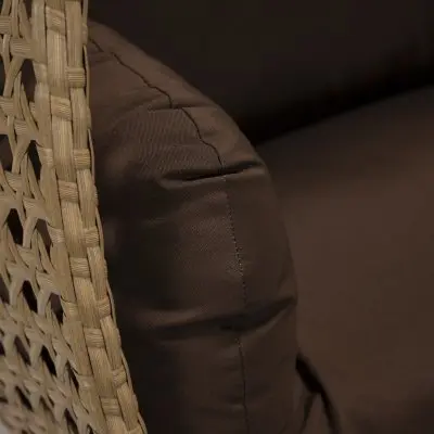 Mendoza Light Brown Wicker Hanging 2 person Egg Swing Chair