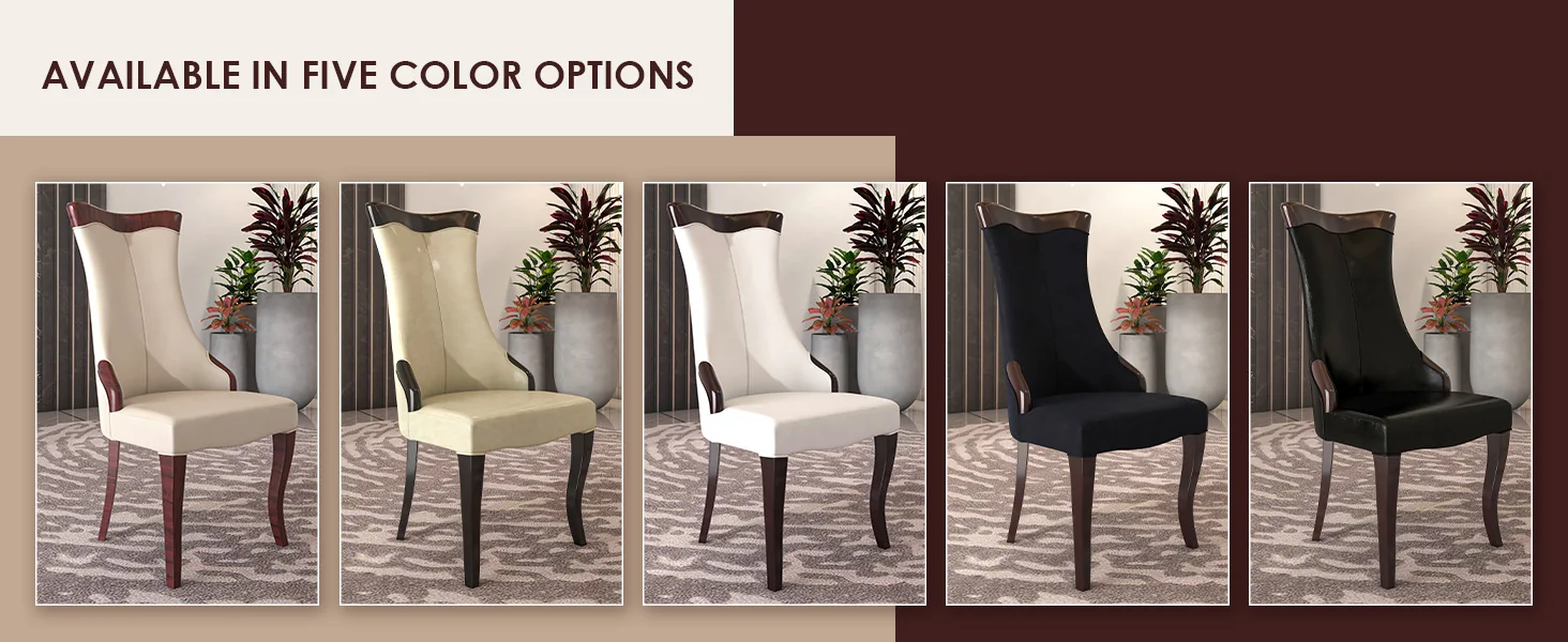 Novara Collection Modern Wooden Dining Chair in Black