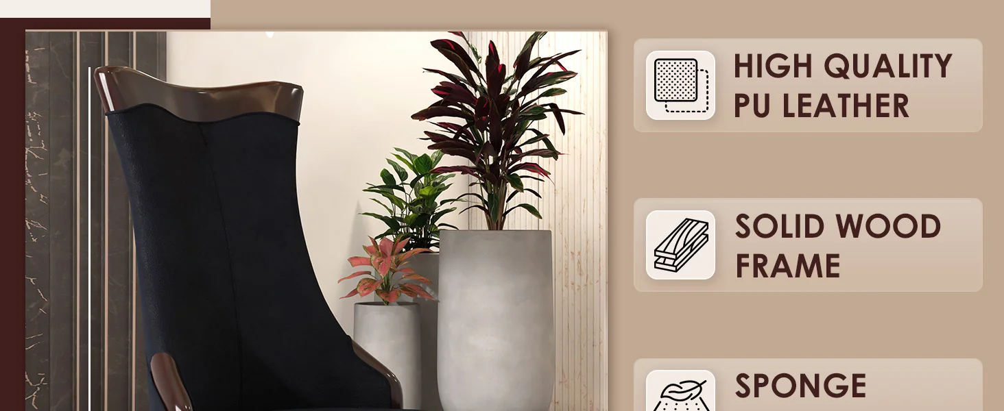 Novara Collection Modern Wooden Dining Chair in Black