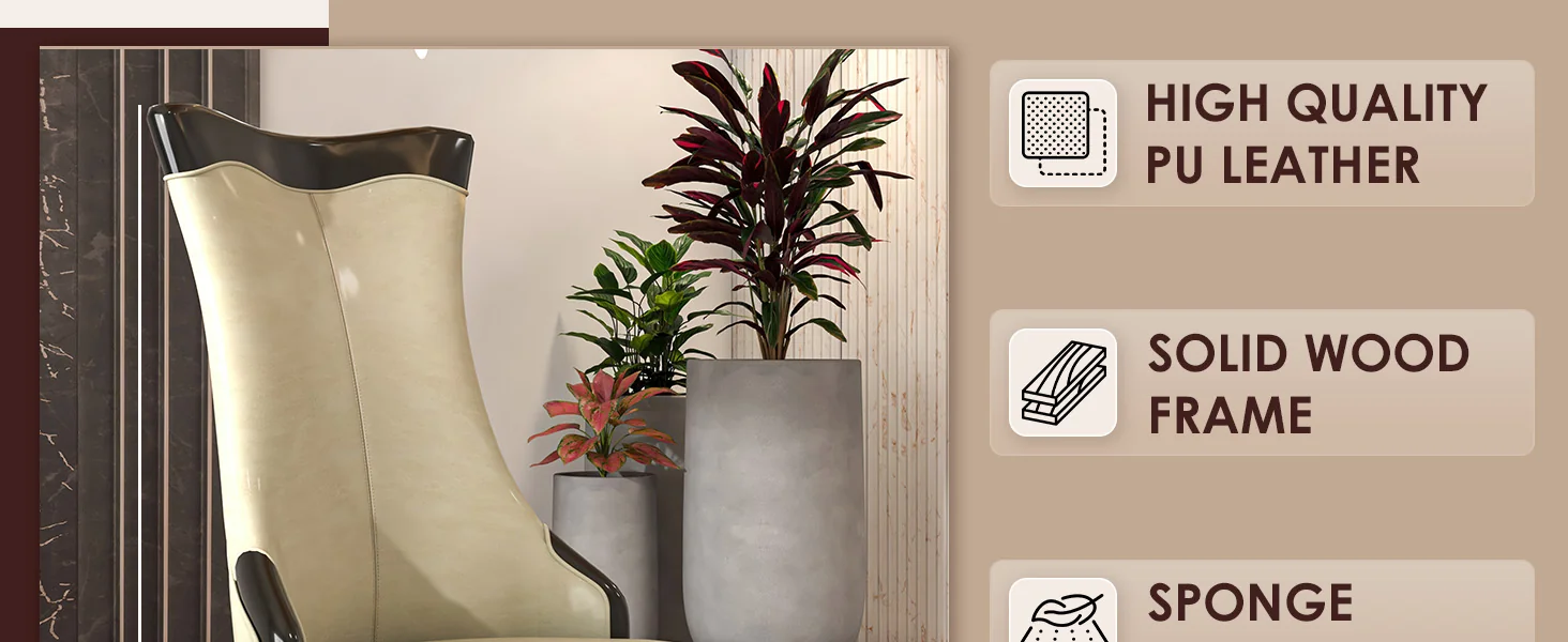 Novara Collection Modern Wooden Dining Chair in Light Cream