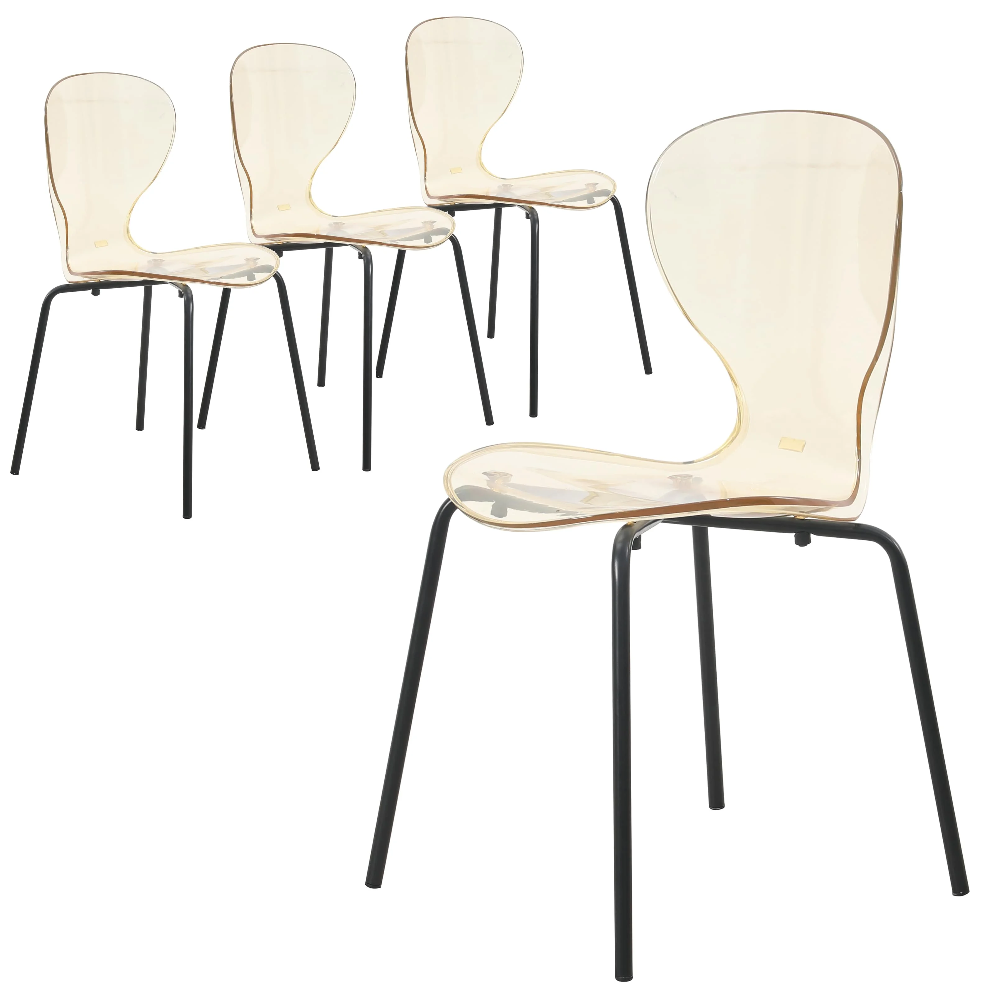 Modern Oyster Transparent Side Chair in Black Base set of 4